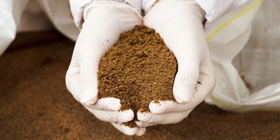 Imagen del artículo Perú volverá a ser determinante en la producción de harina y aceite de pescado en 2024